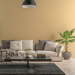 Bild eines Wohnzimmers mit gestrichener Wand in Yellowchair Kreidefarbe Nr. 162