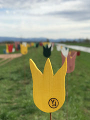 yellowchair Aussenfarbe für Holz Sunnegäl / Sonnengelb